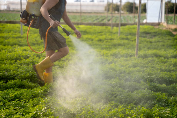 Professional Pest Control in Rolla, MO